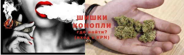 мяу мяу мука Белокуриха